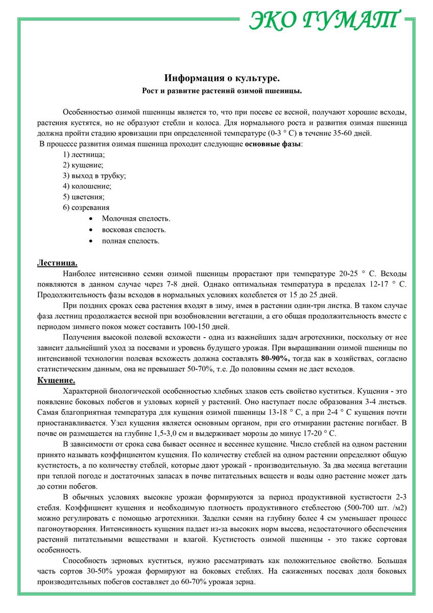 ЕКО-ГУМАТ.-Отчет-по-озимой-пшенице-ООО-КОЛОР-ИТ-2013-3